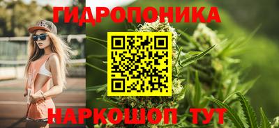 гашик Ликино-Дулёво