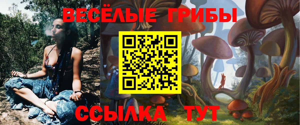 Железноводск  Галлюциногенные грибы мухоморы  Вход с VPN 