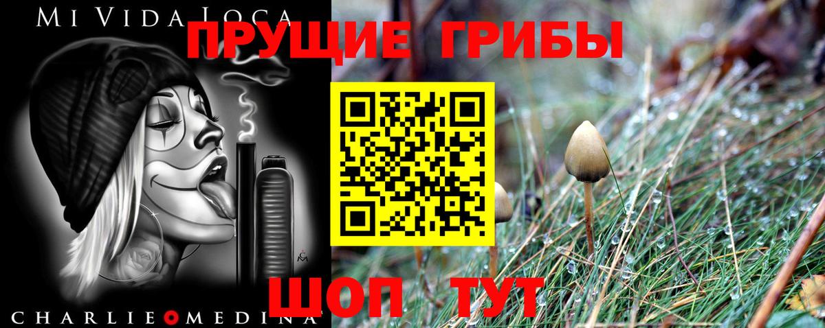 Псилоцибиновые грибы Cubensis Железноводск